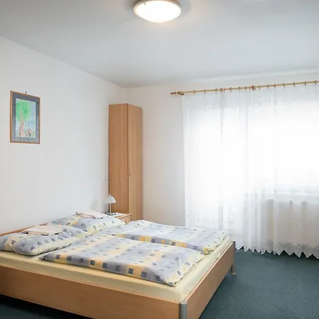 בית הארחה Drienok -