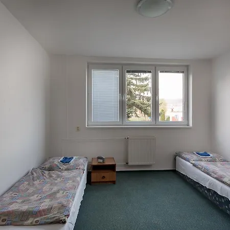 Penzión pre hostí Drienok - *