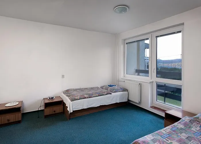 ゲストハウス Drienok -