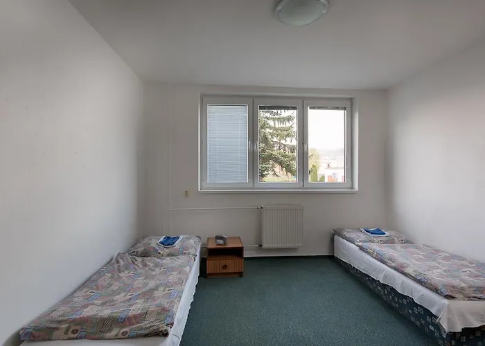 ゲストハウス Drienok - *