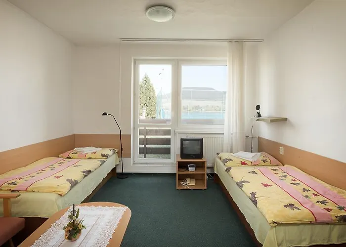 ゲストハウス Drienok -